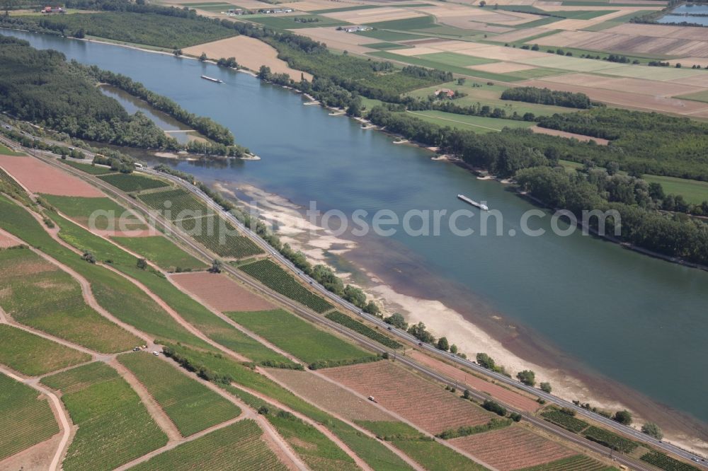 Nackenheim from above - Sand banks at low tide of the Rhine at Nackenheim in Rhineland-Palatinate. On the left bank of the Rhine in front the island Kisselwoerth emerge sandbanks