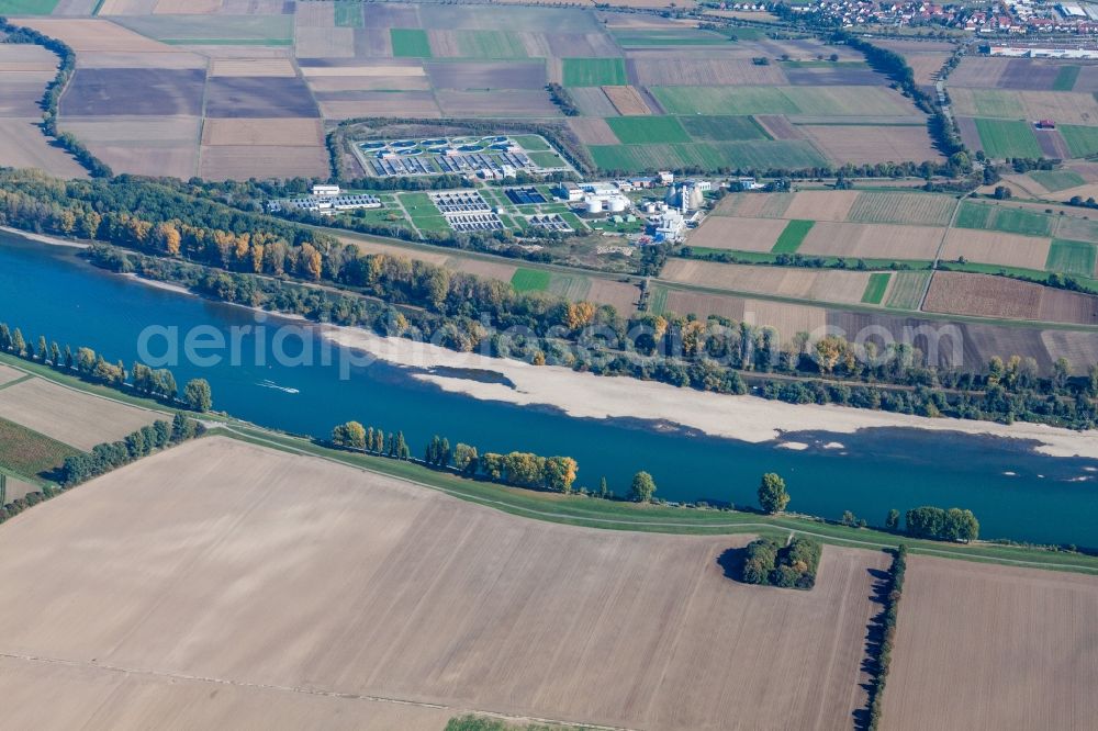 Aerial photograph Mannheim - Sand banks of the Rhein and Klaerwerk Sandhofen at the river course in the district Sandhofen in Mannheim in the state Baden-Wuerttemberg, Germany