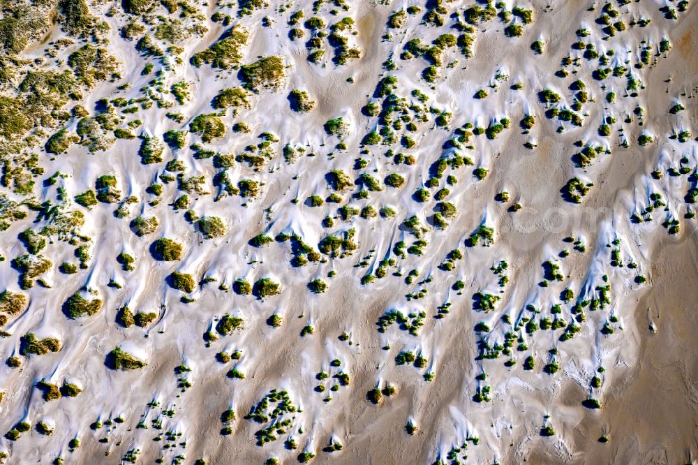 Wittdün auf Amrum from the bird's eye view: Sandy beach and dune landscape with dem Nehrungssee in Wittduen auf Amrum in the state Schleswig-Holstein, Germany