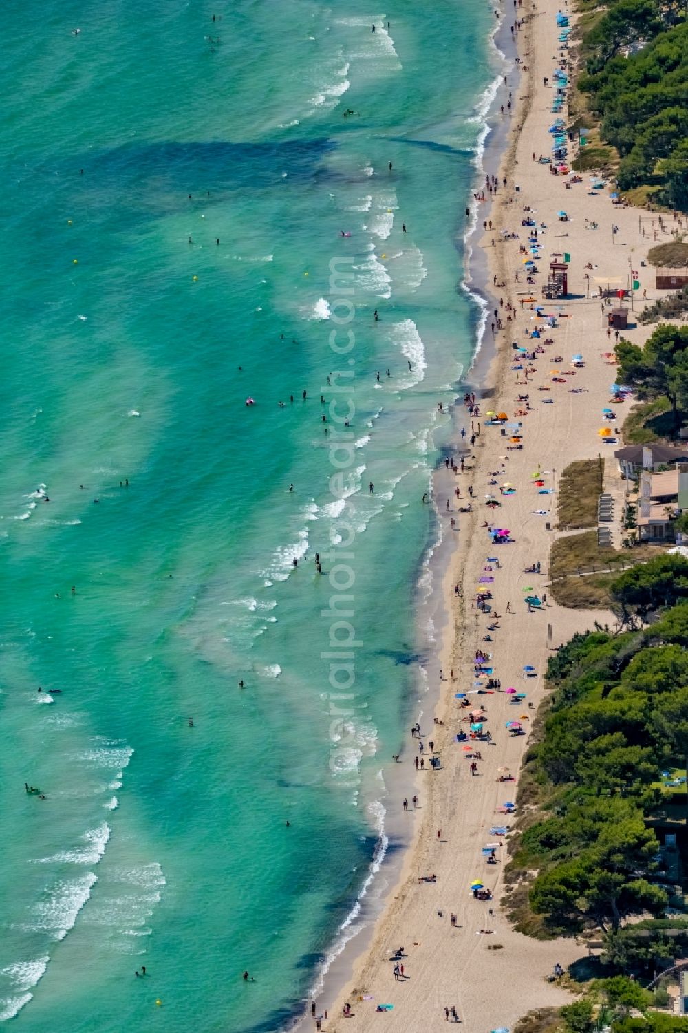 Muro from above - Beach landscape along the Alcudia Bay in Muro in Balearic island of Mallorca, Spain