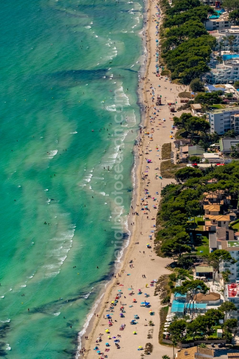 Muro from the bird's eye view: Beach landscape along the Alcudia Bay in Muro in Balearic island of Mallorca, Spain