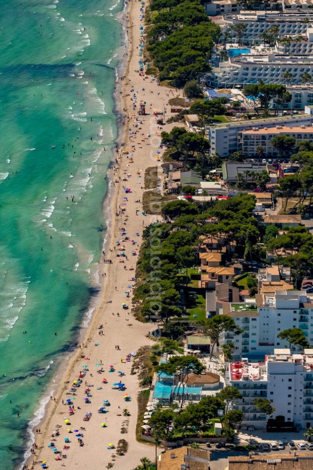 Aerial image Muro - Beach landscape along the Alcudia Bay in Muro in Balearic island of Mallorca, Spain