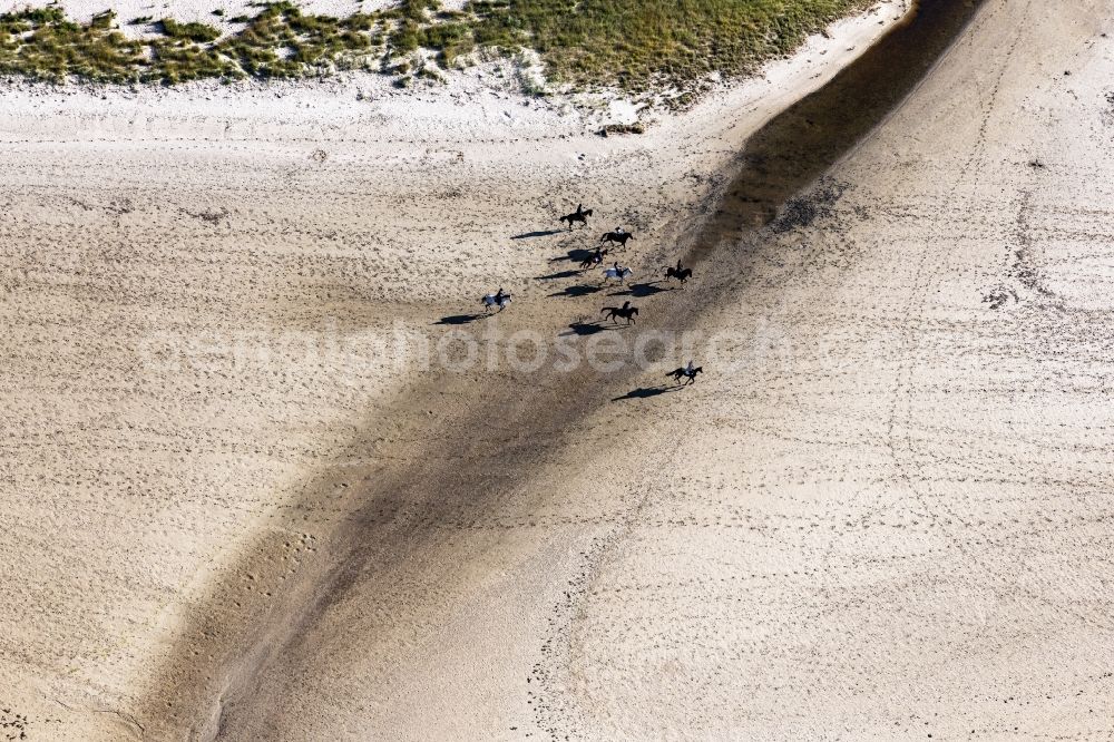 Aerial image Sankt Peter-Ording - Beach landscape along the with galoppierenden Pferden in Sankt Peter-Ording in the state Schleswig-Holstein, Germany