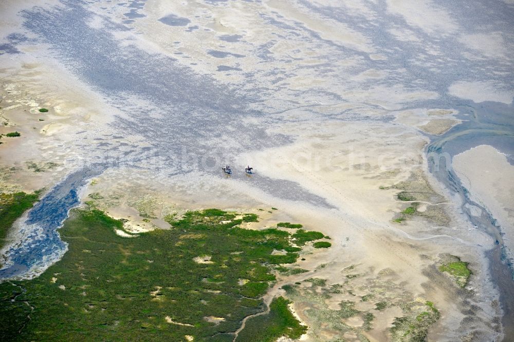 Aerial photograph Sankt Peter-Ording - Beach landscape on the North Sea coast in Sankt Peter-Ording in the state Schleswig-Holstein