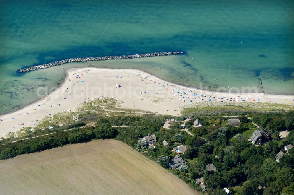 Ahrenshoop from the bird's eye view: Beach landscape on the Baltic Sea in Ahrenshoop in the state Mecklenburg - Western Pomerania