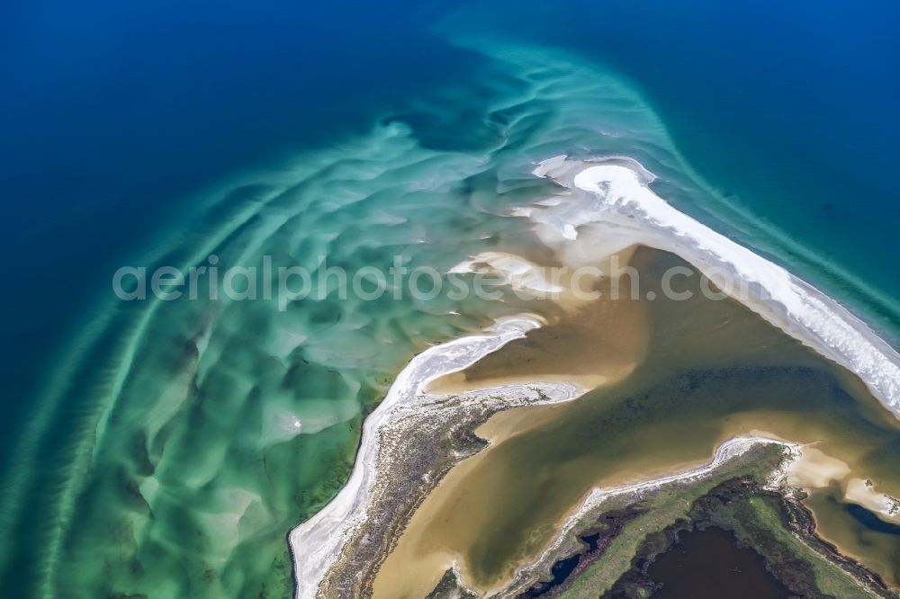 Aerial image Born am Darß - Beach landscape along the of Baltic Sea in Darsser Ort in the state Mecklenburg - Western Pomerania, Germany