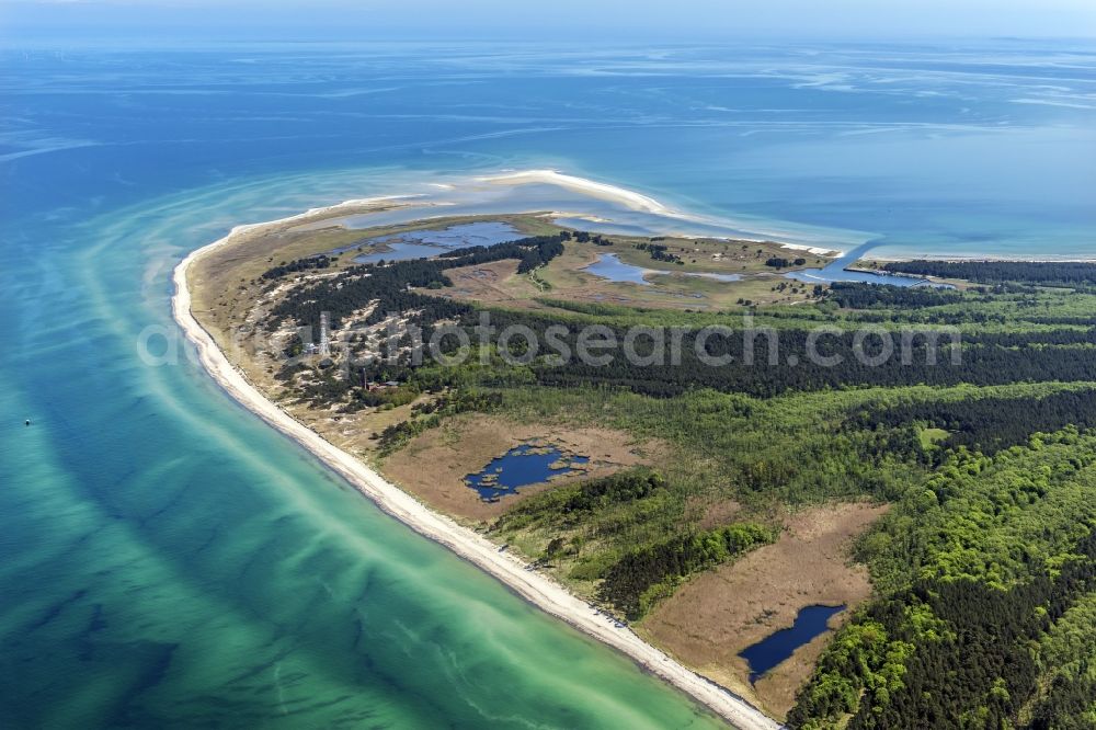 Aerial photograph Born am Darß - Beach landscape along the of Baltic Sea in Darsser Ort in the state Mecklenburg - Western Pomerania, Germany