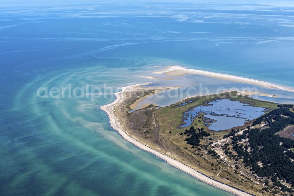 Born am Darß from above - Beach landscape along the of Baltic Sea in Darsser Ort in the state Mecklenburg - Western Pomerania, Germany