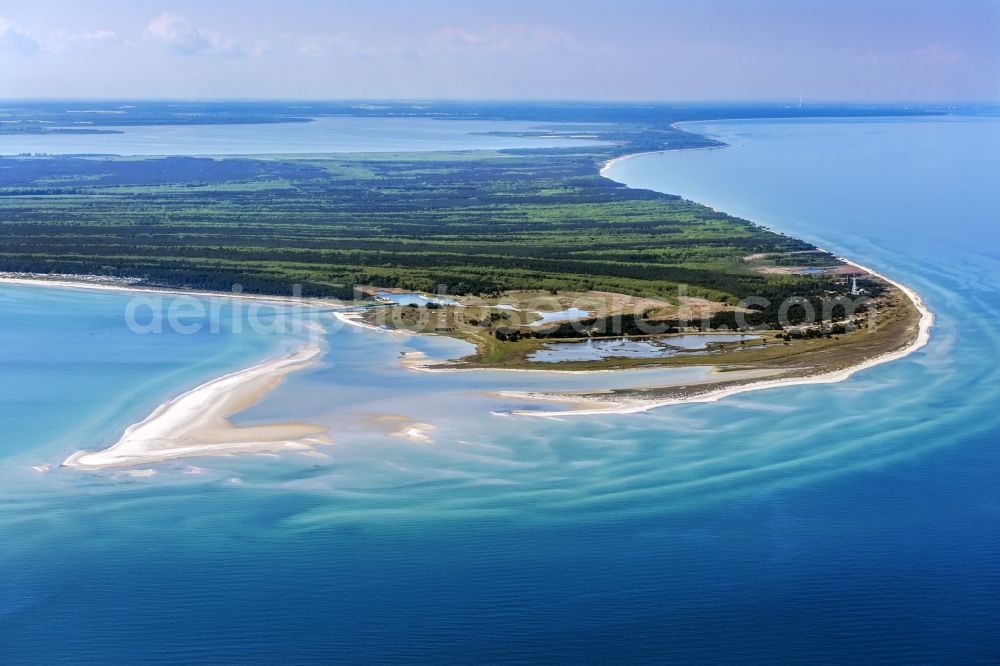 Aerial image Born am Darß - Beach landscape along the of Baltic Sea in Darsser Ort in the state Mecklenburg - Western Pomerania, Germany