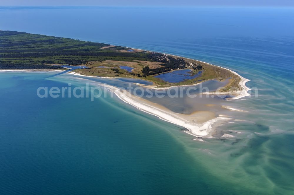 Aerial photograph Born am Darß - Beach landscape along the of Baltic Sea in Darsser Ort in the state Mecklenburg - Western Pomerania, Germany