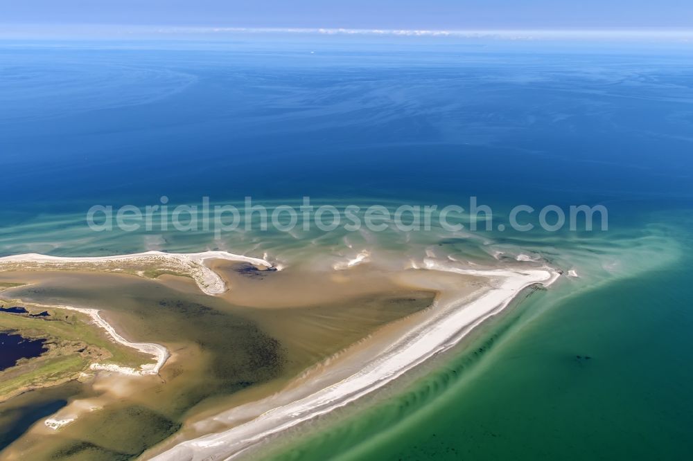 Aerial photograph Born am Darß - Beach landscape along the of Baltic Sea in Darsser Ort in the state Mecklenburg - Western Pomerania, Germany