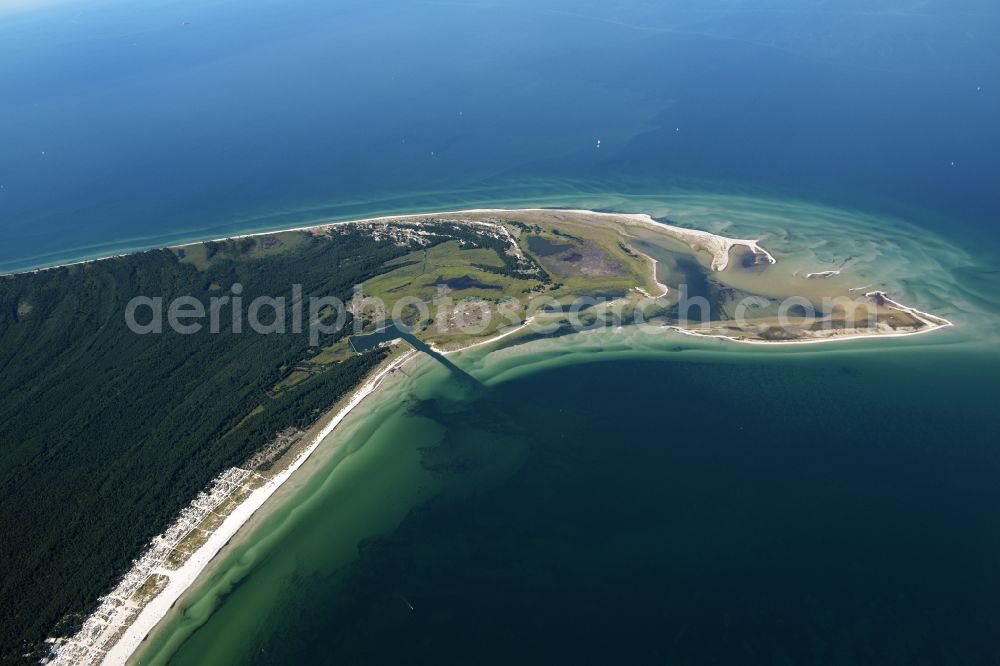 Aerial image Prerow - Beach landscape on the Baltic Sea in Prerow in the state Mecklenburg - Western Pomerania