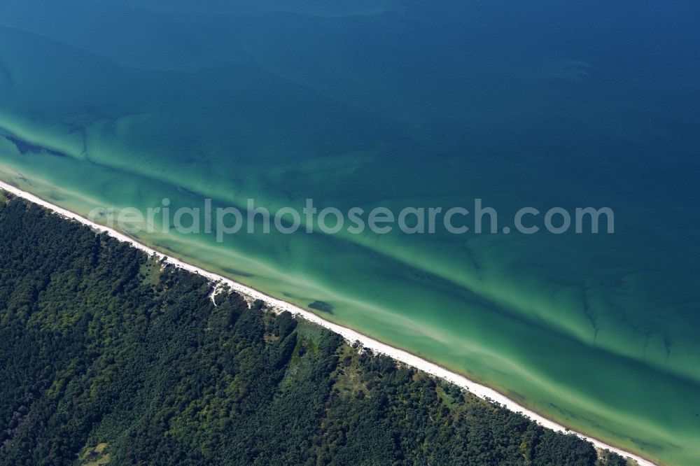 Born am Darß from above - Beach landscape on the Baltic Sea in the district Darsser Ort in Born am Darss in the state Mecklenburg - Western Pomerania