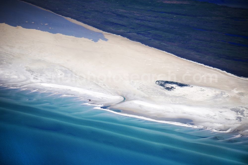 Aerial photograph Born am Darß - Beach landscape on the Baltic Sea in the district Darsser Ort in Born am Darss in the state Mecklenburg - Western Pomerania