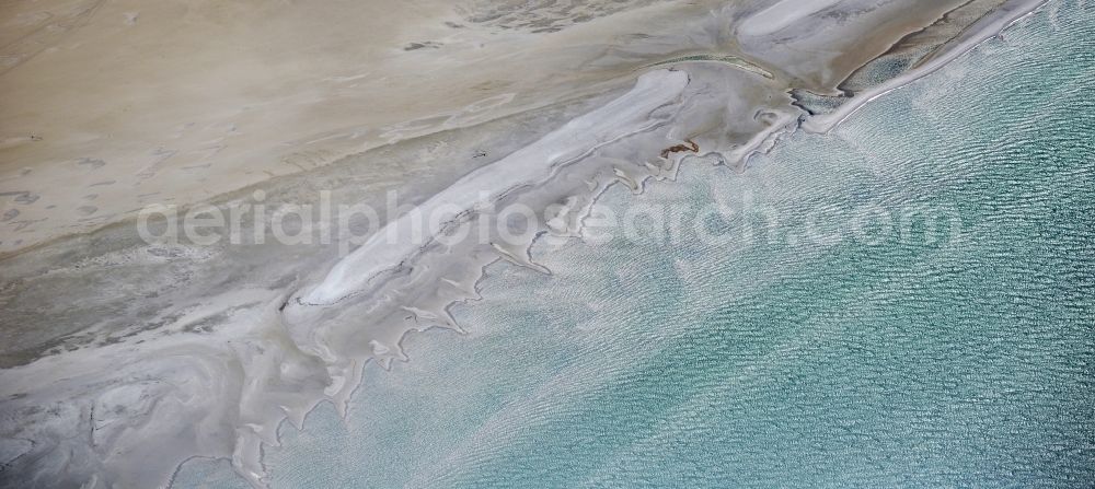 Born am Darß from above - Beach landscape on the Baltic Sea in the district Darsser Ort in Born am Darss in the state Mecklenburg - Western Pomerania