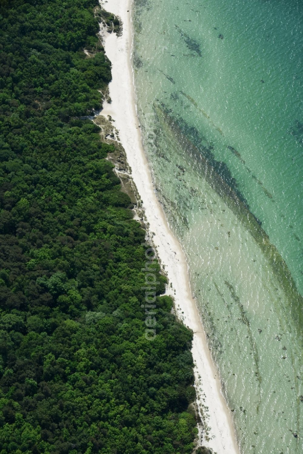 Ronne - Insel Bornholm from the bird's eye view: Beach landscape on the Baltic Sea in Ronne - Bornholm Island in , Denmark