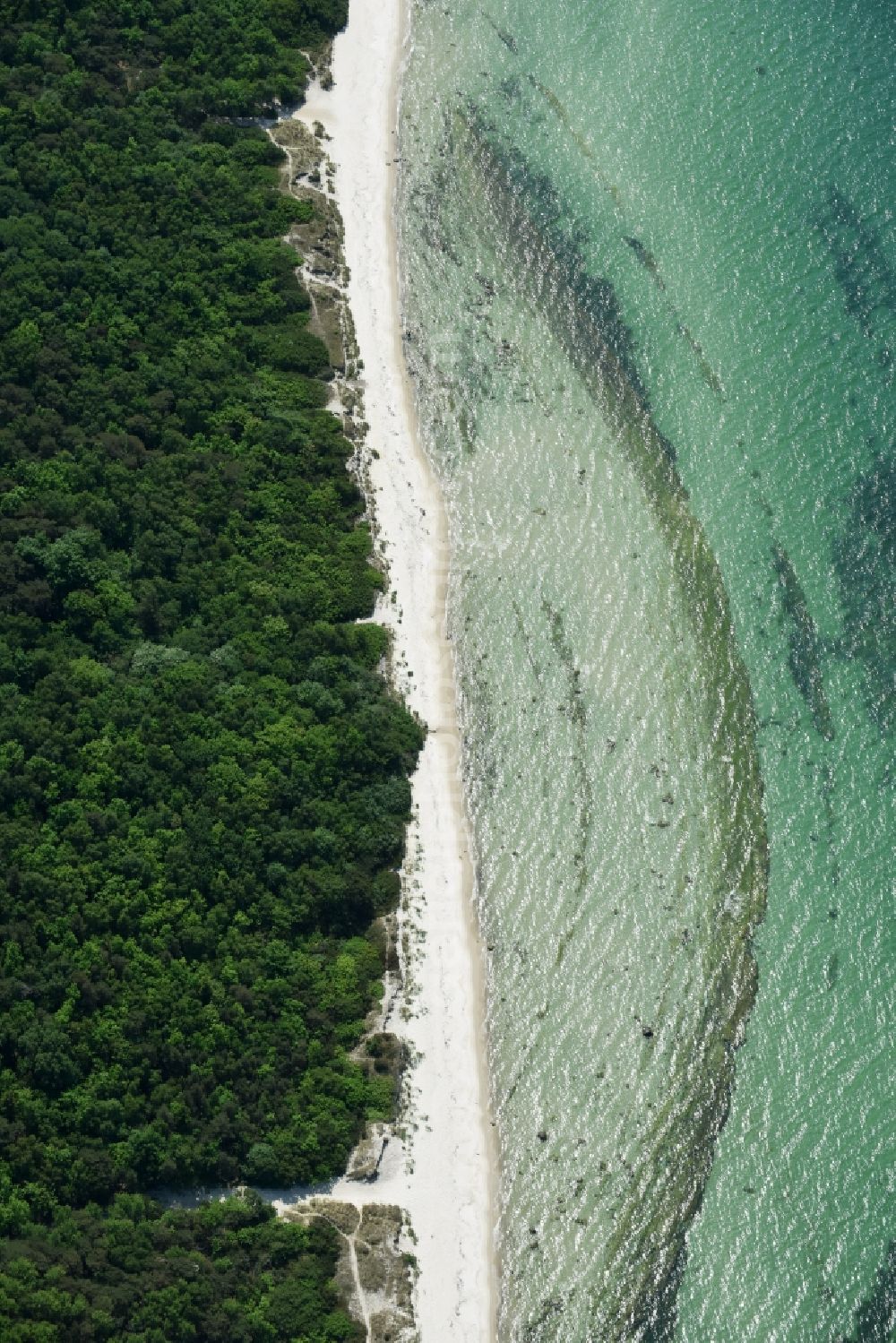 Aerial image Ronne - Insel Bornholm - Beach landscape on the Baltic Sea in Ronne - Bornholm Island in , Denmark