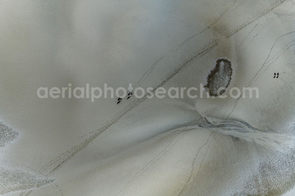 Aerial photograph Sankt Peter-Ording - Beach landscape along the with galoppierenden Pferden in Sankt Peter-Ording in the state Schleswig-Holstein, Germany