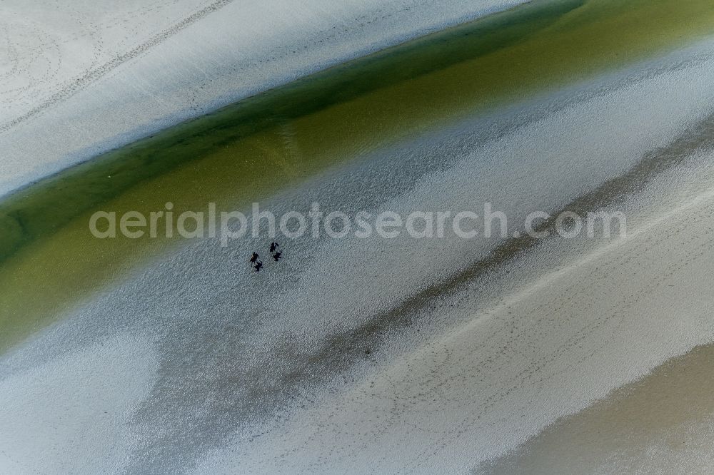 Sankt Peter-Ording from the bird's eye view: Beach landscape along the with galoppierenden Pferden in Sankt Peter-Ording in the state Schleswig-Holstein, Germany