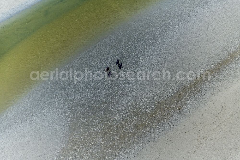 Aerial image Sankt Peter-Ording - Beach landscape along the with galoppierenden Pferden in Sankt Peter-Ording in the state Schleswig-Holstein, Germany