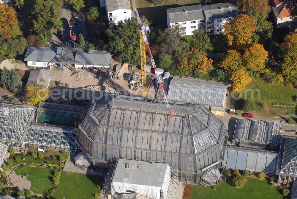 Berlin-Dahlem from the bird's eye view: Blick auf das Große Tropenhaus im Botanischen Garten zu Berlin, dessen Sanierung in Höhe von 16 Mio. € Anfang August begonnen hat. Kontakt: Botanischer Garten und Botanisches Museum Berlin-Dahlem (BGBM) - Freie Universität Berlin - Königin-Luise-Str. 6-8, 14195 Berlin - Telefon: (+4930) 838-50100, Info-Telefon: -50027, Fax: -50186