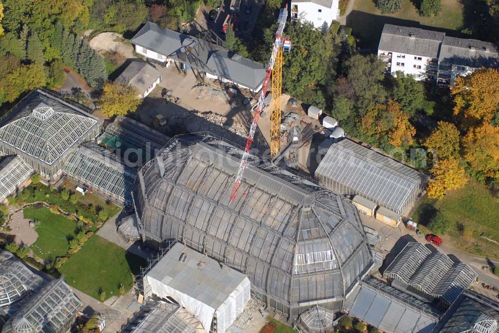 Aerial image Berlin-Dahlem - Blick auf das Große Tropenhaus im Botanischen Garten zu Berlin, dessen Sanierung in Höhe von 16 Mio. € Anfang August begonnen hat. Kontakt: Botanischer Garten und Botanisches Museum Berlin-Dahlem (BGBM) - Freie Universität Berlin - Königin-Luise-Str. 6-8, 14195 Berlin - Telefon: (+4930) 838-50100, Info-Telefon: -50027, Fax: -50186