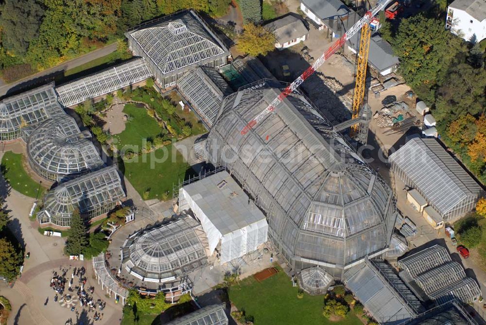 Aerial photograph Berlin-Dahlem - Blick auf das Große Tropenhaus im Botanischen Garten zu Berlin, dessen Sanierung in Höhe von 16 Mio. € Anfang August begonnen hat. Kontakt: Botanischer Garten und Botanisches Museum Berlin-Dahlem (BGBM) - Freie Universität Berlin - Königin-Luise-Str. 6-8, 14195 Berlin - Telefon: (+4930) 838-50100, Info-Telefon: -50027, Fax: -50186