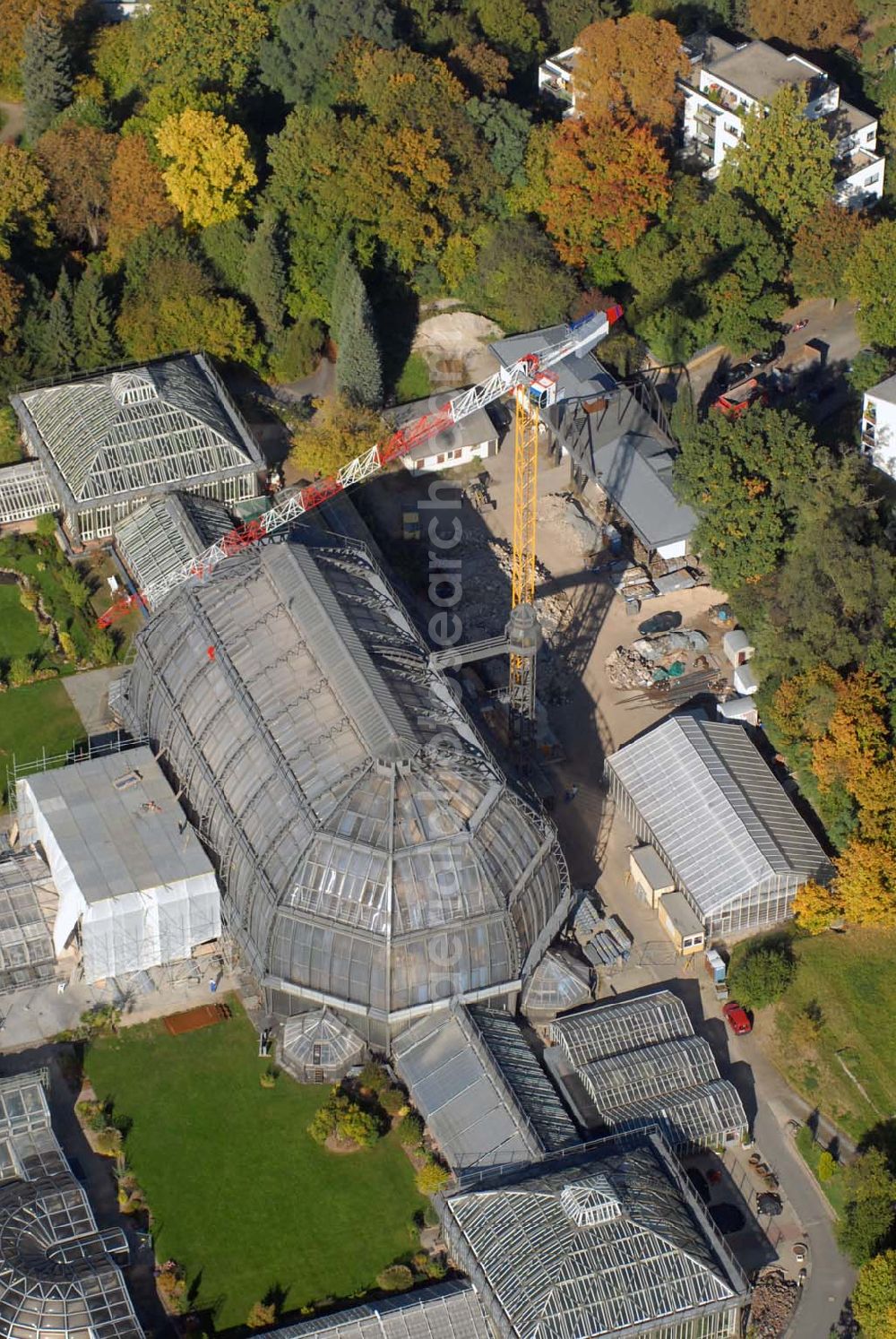 Berlin-Dahlem from above - Blick auf das Große Tropenhaus im Botanischen Garten zu Berlin, dessen Sanierung in Höhe von 16 Mio. € Anfang August begonnen hat. Kontakt: Botanischer Garten und Botanisches Museum Berlin-Dahlem (BGBM) - Freie Universität Berlin - Königin-Luise-Str. 6-8, 14195 Berlin - Telefon: (+4930) 838-50100, Info-Telefon: -50027, Fax: -50186