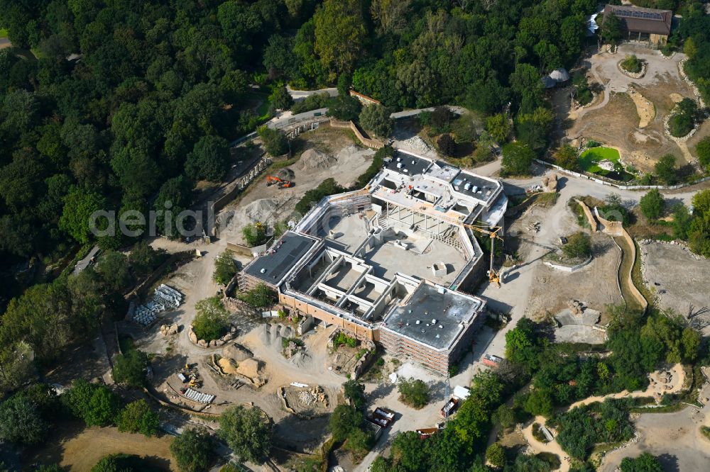 Berlin from the bird's eye view: Construction site for reconstruction and modernization and renovation of a building Pachyderm house in the zoo on street Am Tierpark in the district Friedrichsfelde in Berlin, Germany