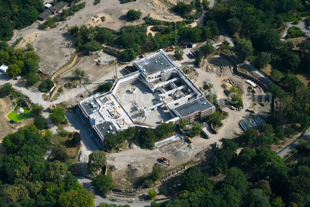 Berlin from above - Construction site for reconstruction and modernization and renovation of a building Pachyderm house in the zoo on street Am Tierpark in the district Friedrichsfelde in Berlin, Germany