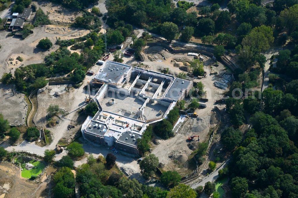 Berlin from the bird's eye view: Construction site for reconstruction and modernization and renovation of a building Pachyderm house in the zoo on street Am Tierpark in the district Friedrichsfelde in Berlin, Germany