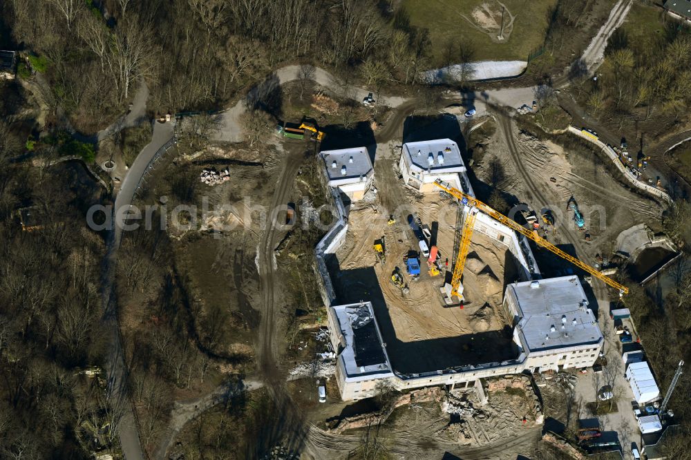 Aerial photograph Berlin - Construction site for reconstruction and modernization and renovation of a building Pachyderm house in the zoo on street Am Tierpark in the district Friedrichsfelde in Berlin, Germany