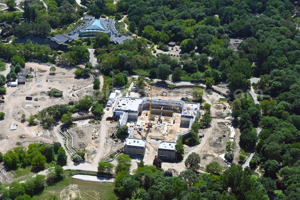 Aerial photograph Berlin - Construction site for reconstruction and modernization and renovation of a building Pachyderm house in the zoo on street Am Tierpark in the district Friedrichsfelde in Berlin, Germany