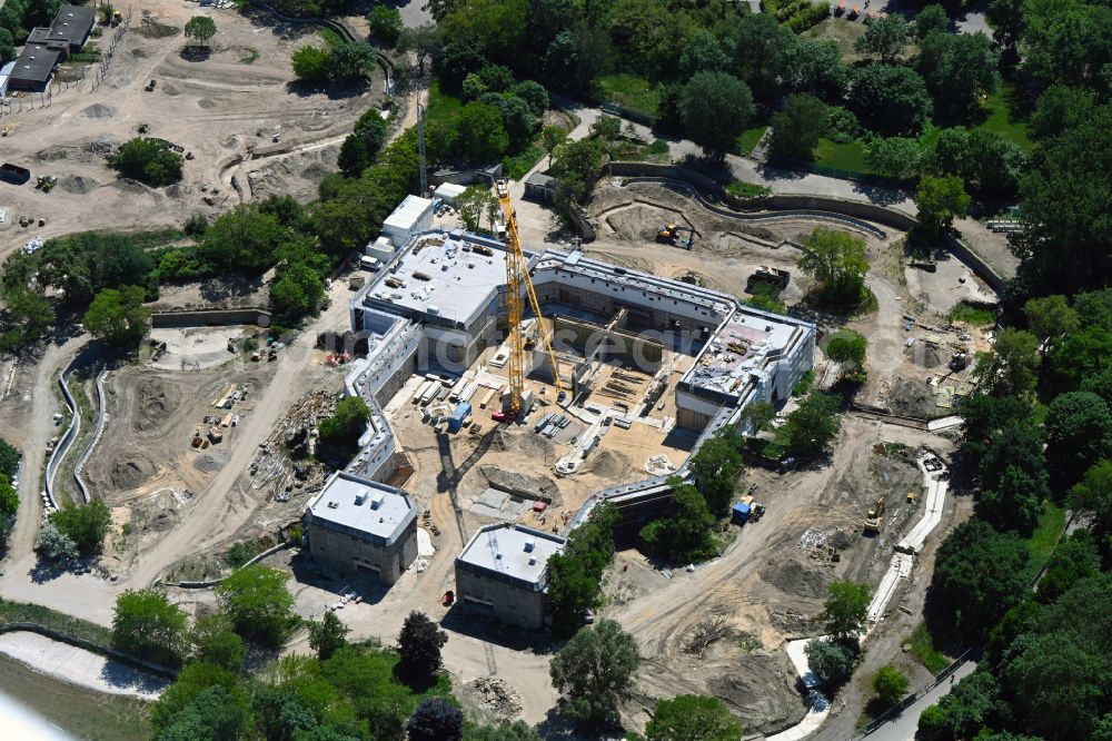 Berlin from the bird's eye view: Construction site for reconstruction and modernization and renovation of a building Pachyderm house in the zoo on street Am Tierpark in the district Friedrichsfelde in Berlin, Germany