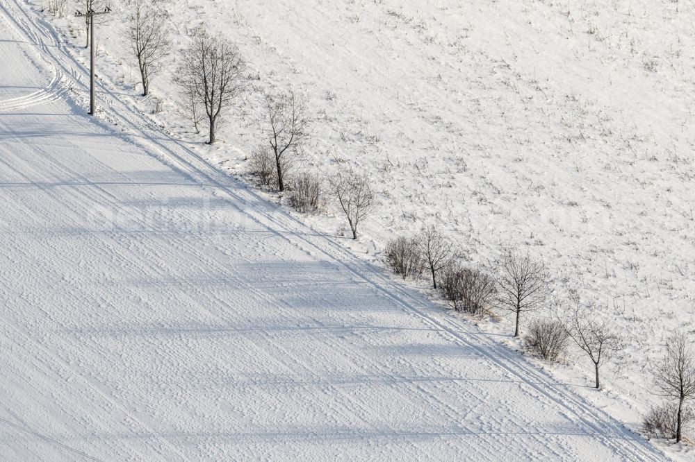 Buch from above - The shade of a tree row on snow-covered field at Buch in Bavaria