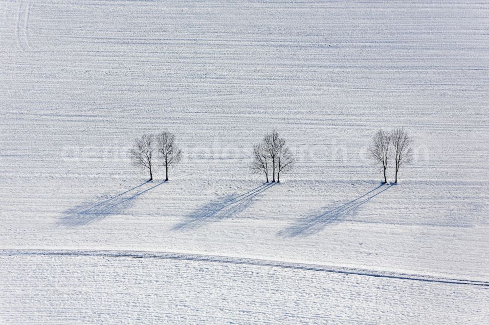 Aerial image Buch - The shade of a tree row on snow-covered field at Buch in Bavaria