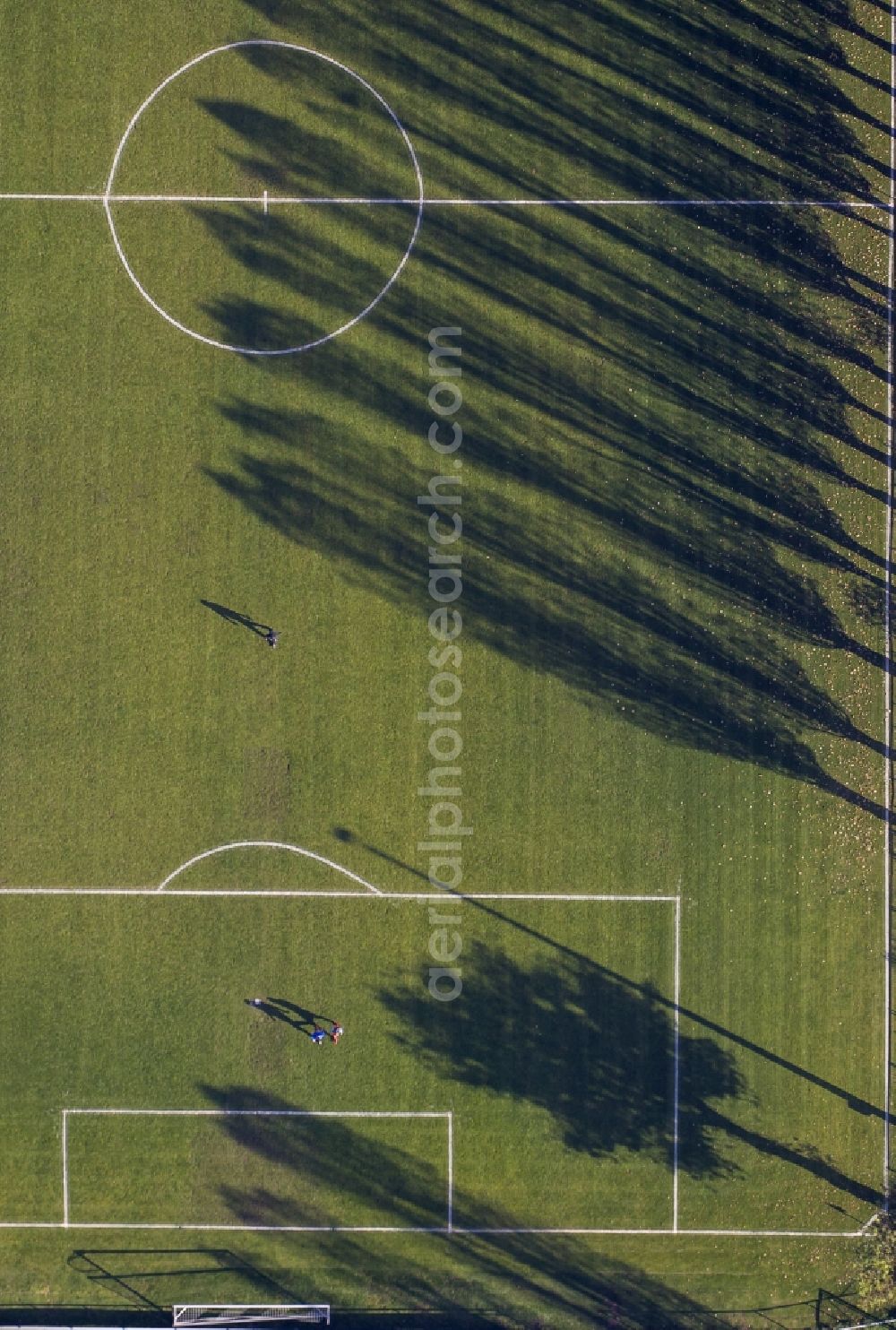 Aerial image Haltern am See - Shadow - landscape of tree rows at a soccer ground in Haltern in the state of North Rhine-Westphalia NRW