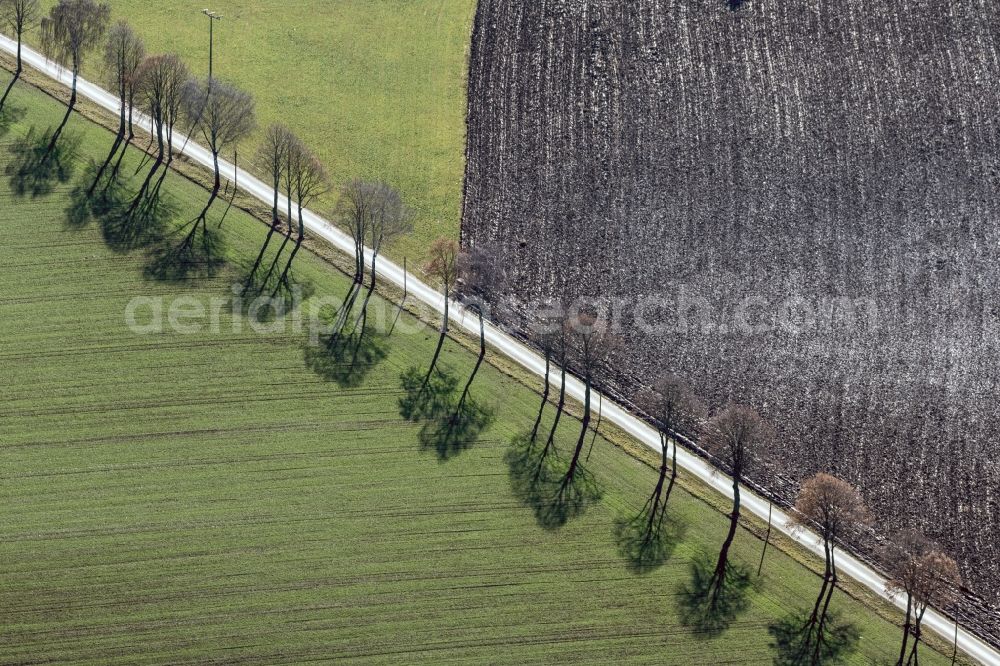 Niederaichbach from the bird's eye view: A row of trees is throuing shadows on a roadside in the winter in Niederaichbach in Bavaria. The road runs through fields