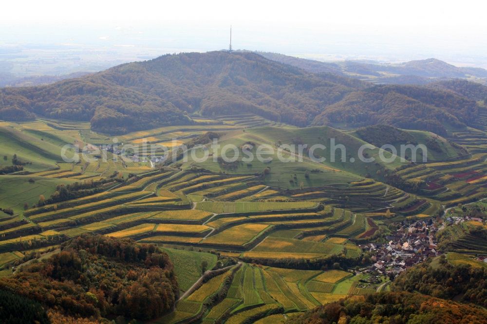 Aerial photograph Endingen am Kaiserstuhl - Autumn landscape with Schelingen am Kaiserstuhl in Baden-Wuerttemberg with terraced vineyards