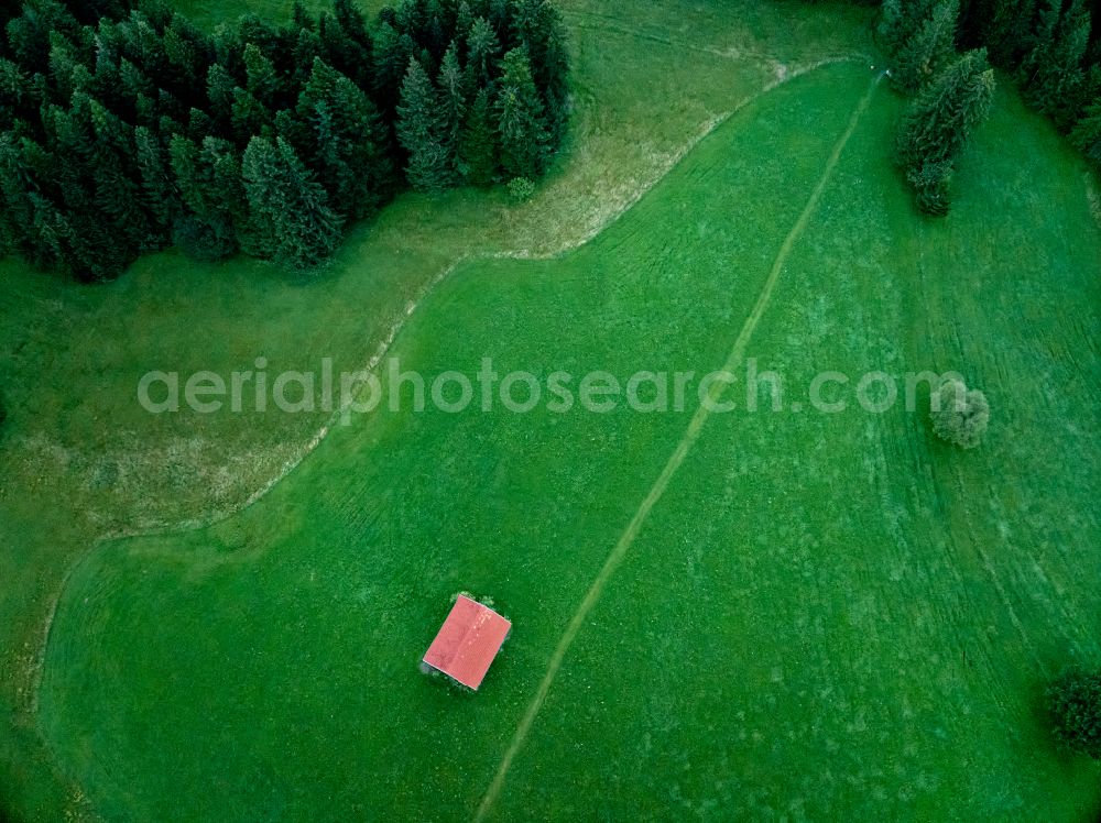 Aerial photograph Sulzberg - Barn buildings on agricultural pasture and farmland in Sulzberg in the Bregenzer Wald in Vorarlberg, Austria