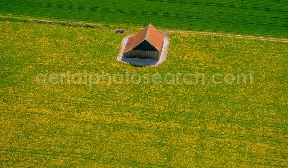 Aerial photograph Brilon - Barn building on the edge of agricultural fields and farmland near Brilon in the state North Rhine-Westphalia, Germany