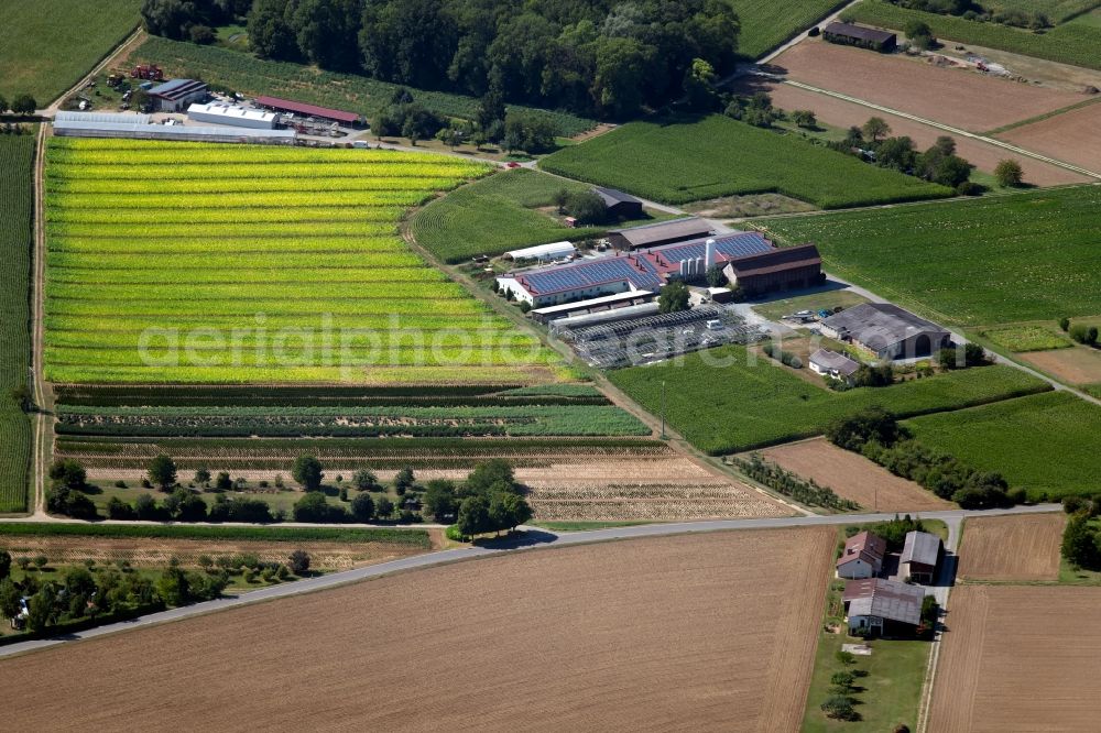 Heilbronn from the bird's eye view: Barn building on the edge of agricultural fields and farmland on Pfuetzaeckerweg in Heilbronn in the state Baden-Wurttemberg, Germany