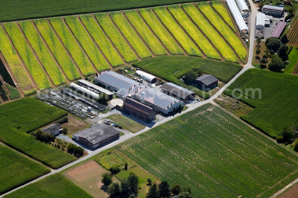 Aerial image Heilbronn - Barn building on the edge of agricultural fields and farmland on Pfuetzaeckerweg in Heilbronn in the state Baden-Wurttemberg, Germany