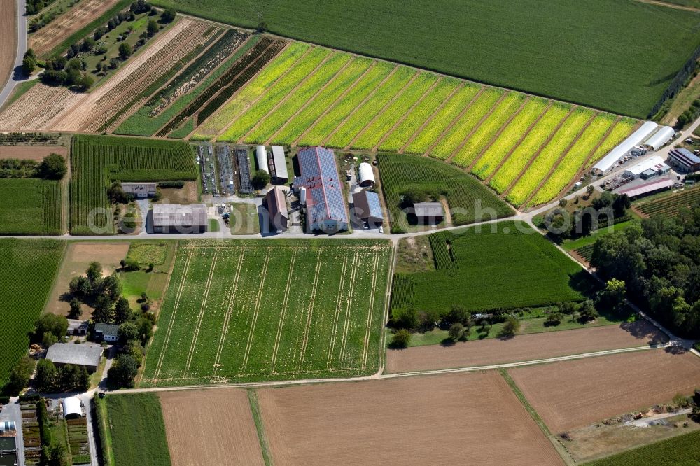 Aerial photograph Heilbronn - Barn building on the edge of agricultural fields and farmland on Pfuetzaeckerweg in Heilbronn in the state Baden-Wurttemberg, Germany