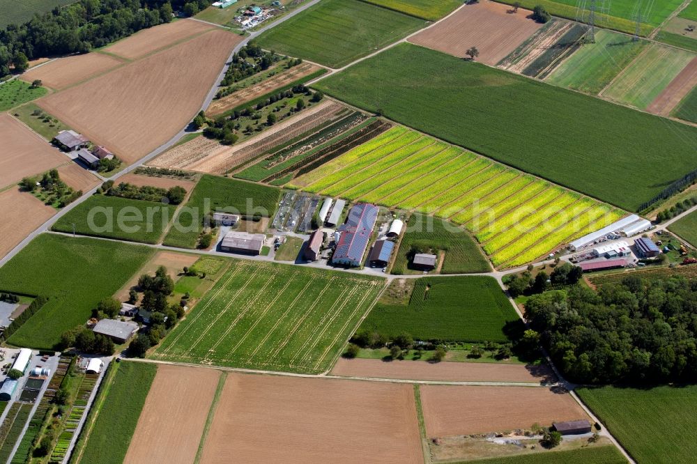 Heilbronn from above - Barn building on the edge of agricultural fields and farmland on Pfuetzaeckerweg in Heilbronn in the state Baden-Wurttemberg, Germany