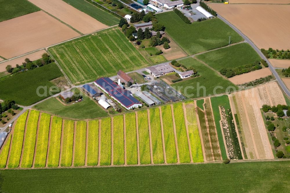 Heilbronn from the bird's eye view: Barn building on the edge of agricultural fields and farmland on Pfuetzaeckerweg in Heilbronn in the state Baden-Wurttemberg, Germany