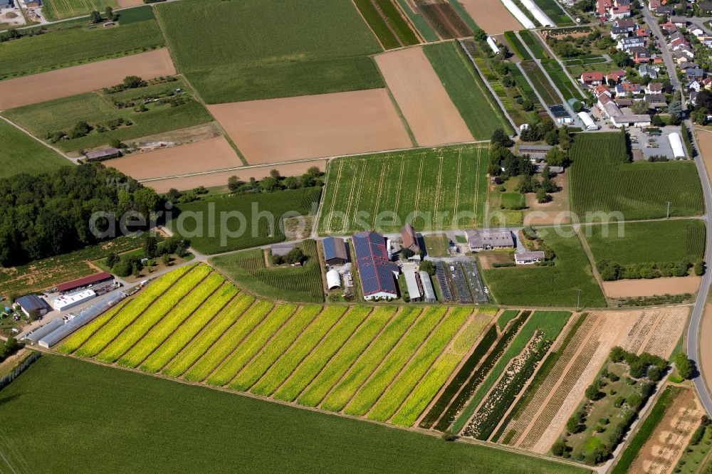 Aerial image Heilbronn - Barn building on the edge of agricultural fields and farmland on Pfuetzaeckerweg in Heilbronn in the state Baden-Wurttemberg, Germany