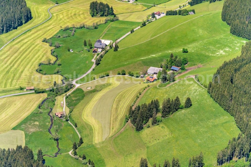 Titisee-Neustadt from above - Barn building on the edge of agricultural fields and farmland in Titisee-Neustadt in the state Baden-Wurttemberg, Germany