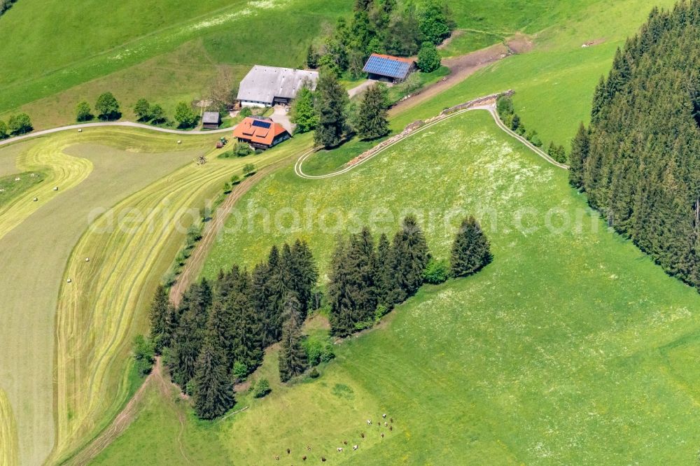 Aerial image Titisee-Neustadt - Barn building on the edge of agricultural fields and farmland in Titisee-Neustadt in the state Baden-Wurttemberg, Germany