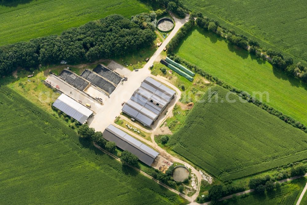 Fredenbeck from above - Barn building on the edge with solar- panels of agricultural fields and farmland in Fredenbeck in the state Lower Saxony, Germany